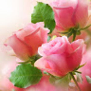 Meet your Posher, Naimoudat binti